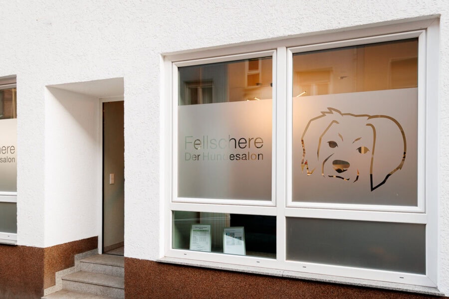 Fellschere Ludwigshafen Schaufenster in der Dörrhorststraße 5 in Mitte