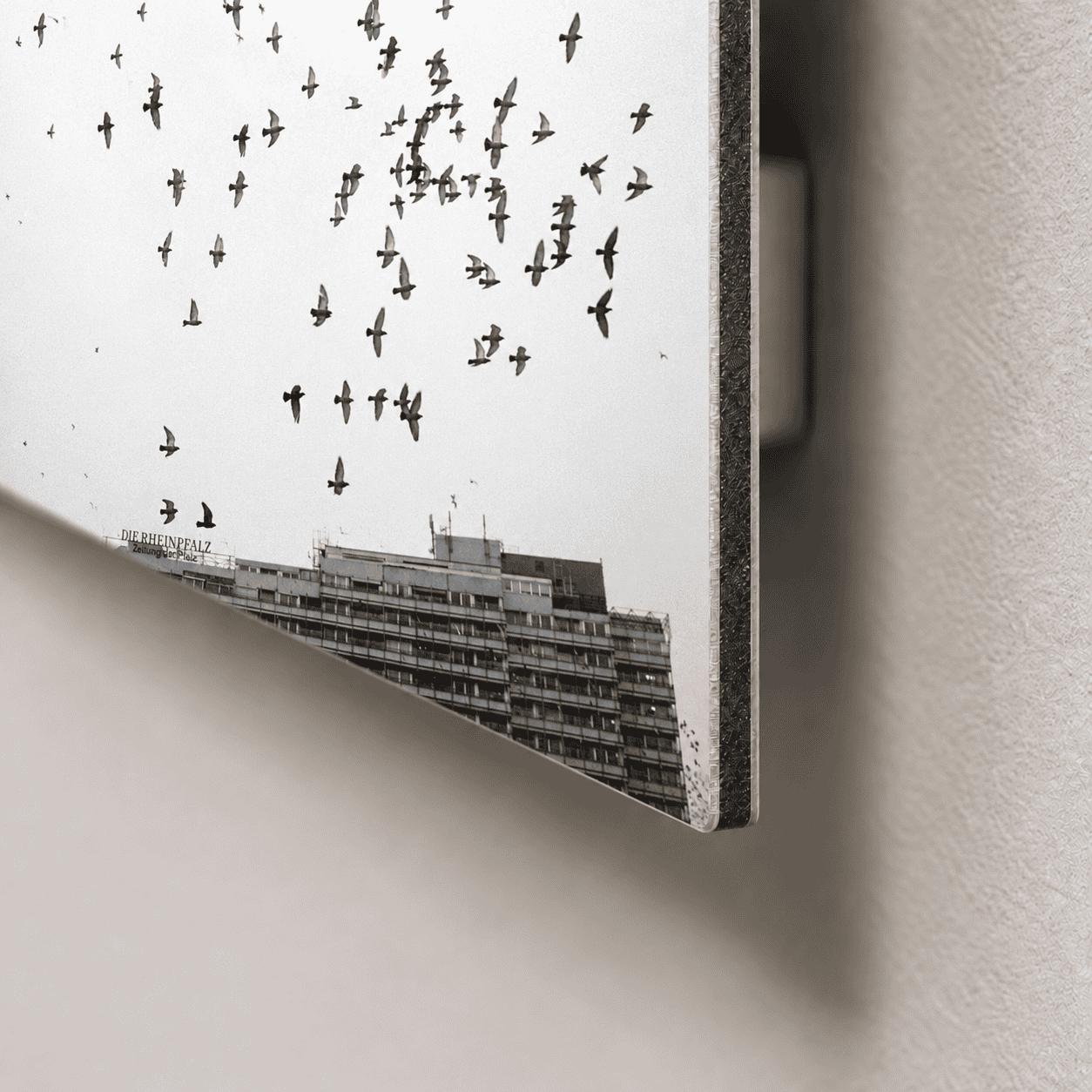 Materialkante · Illustration mit Mosch