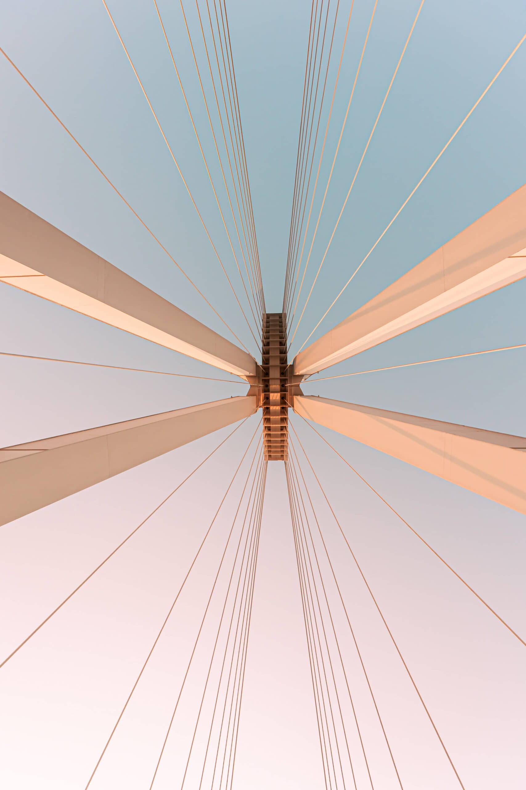 Pylonbrücke Ludwigshafen – Symmetrische Architektur der Schr